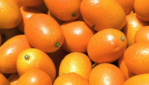 kumquats-1.jpg