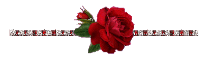 الشوق حدودي ناداك 2013 2014 rose-rouge.gif